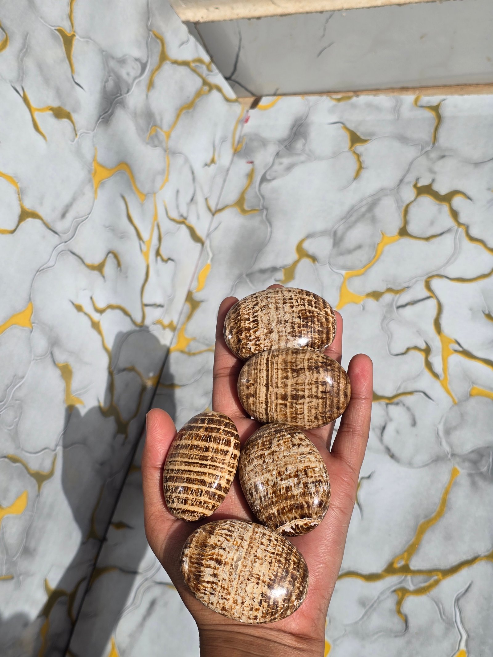 Natural Aragonite Palm Stone
